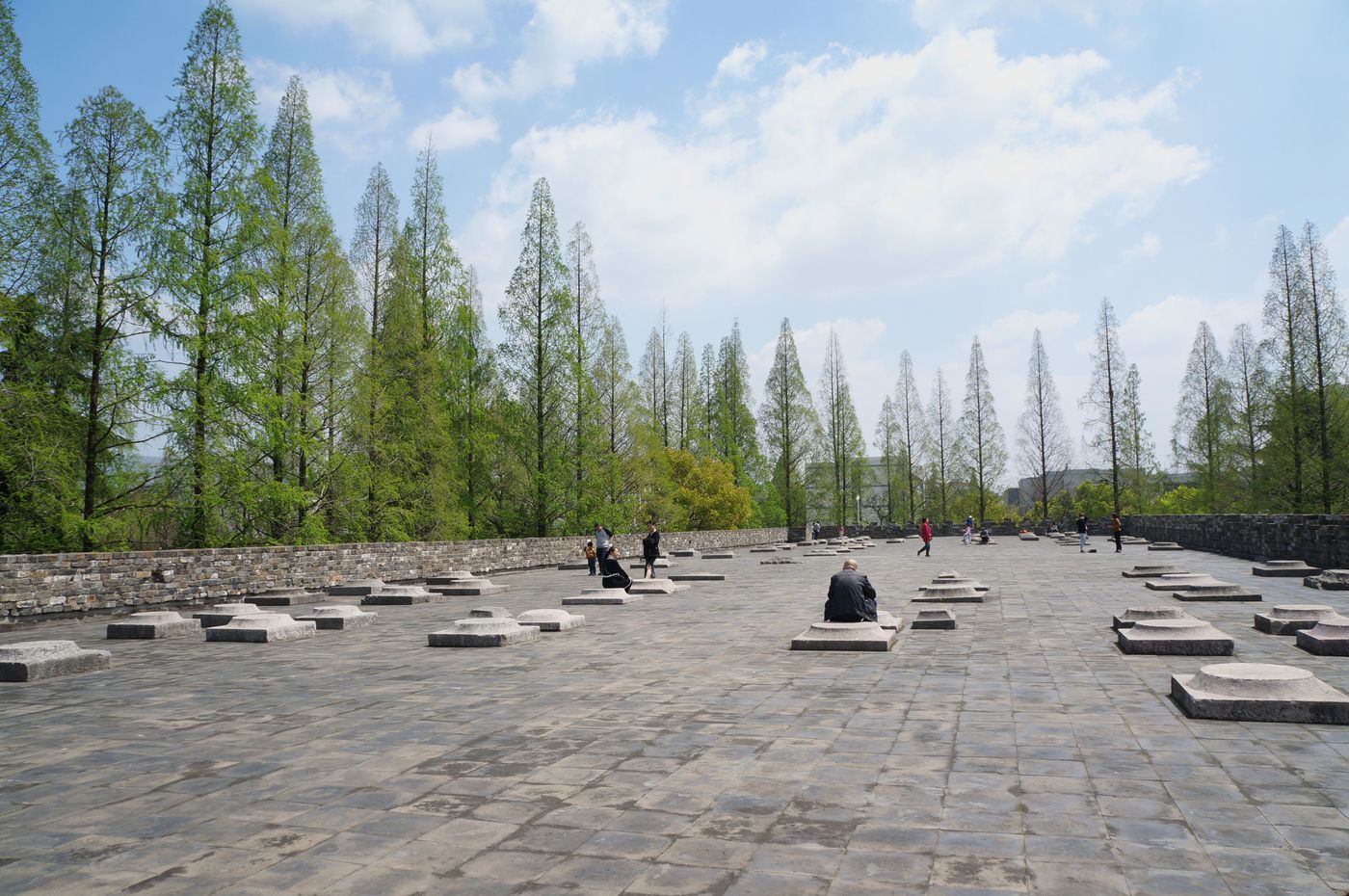 南京经典一日包车｜钟山风景区·总统府·夫子庙