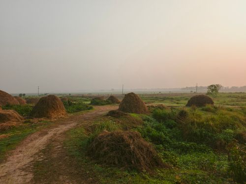 Free Serene countryside scene featuring haystacks under a clear sky at sunset. Stock Photo
