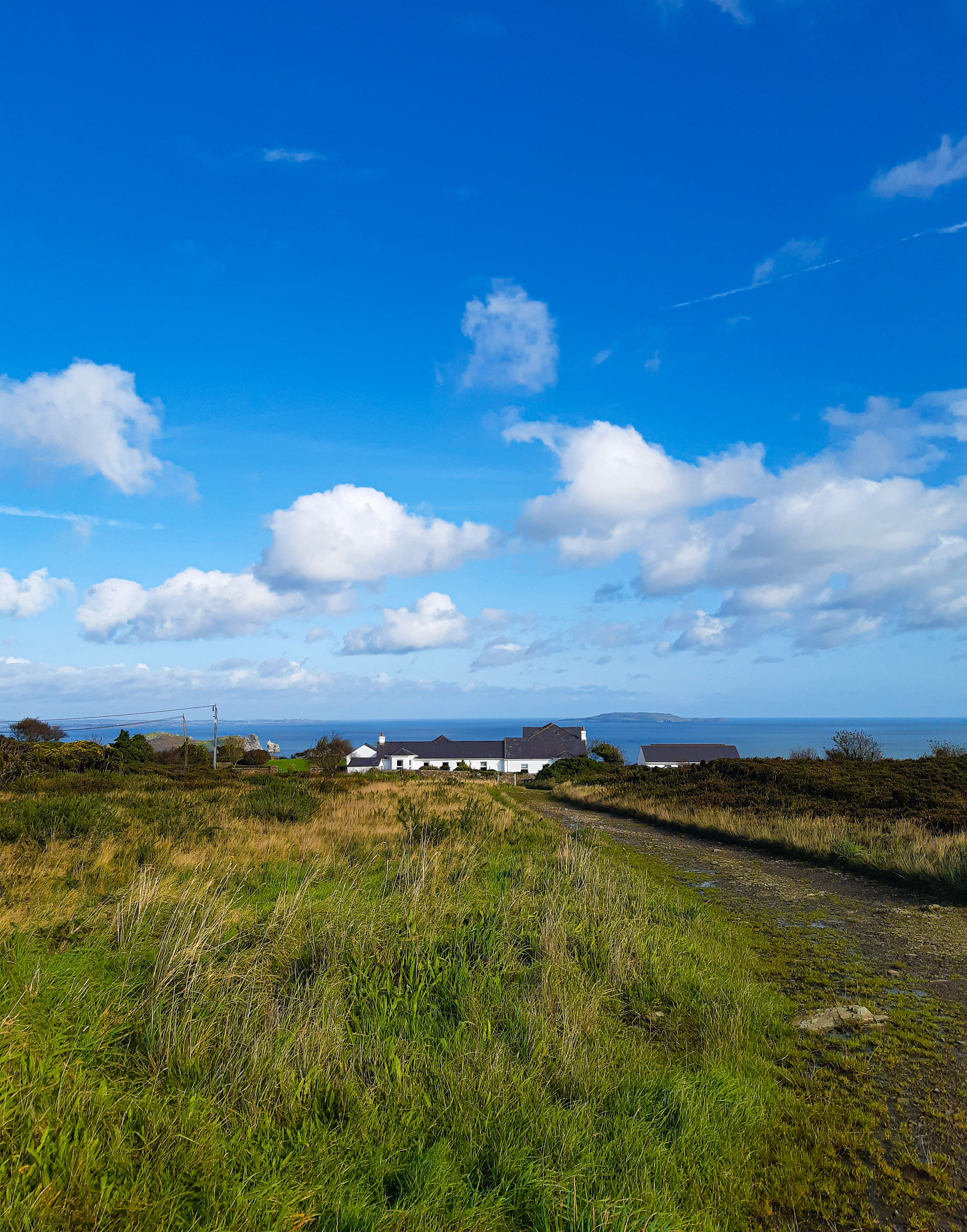Idyllic Irish Countryside with Sea View · Free Stock Photo