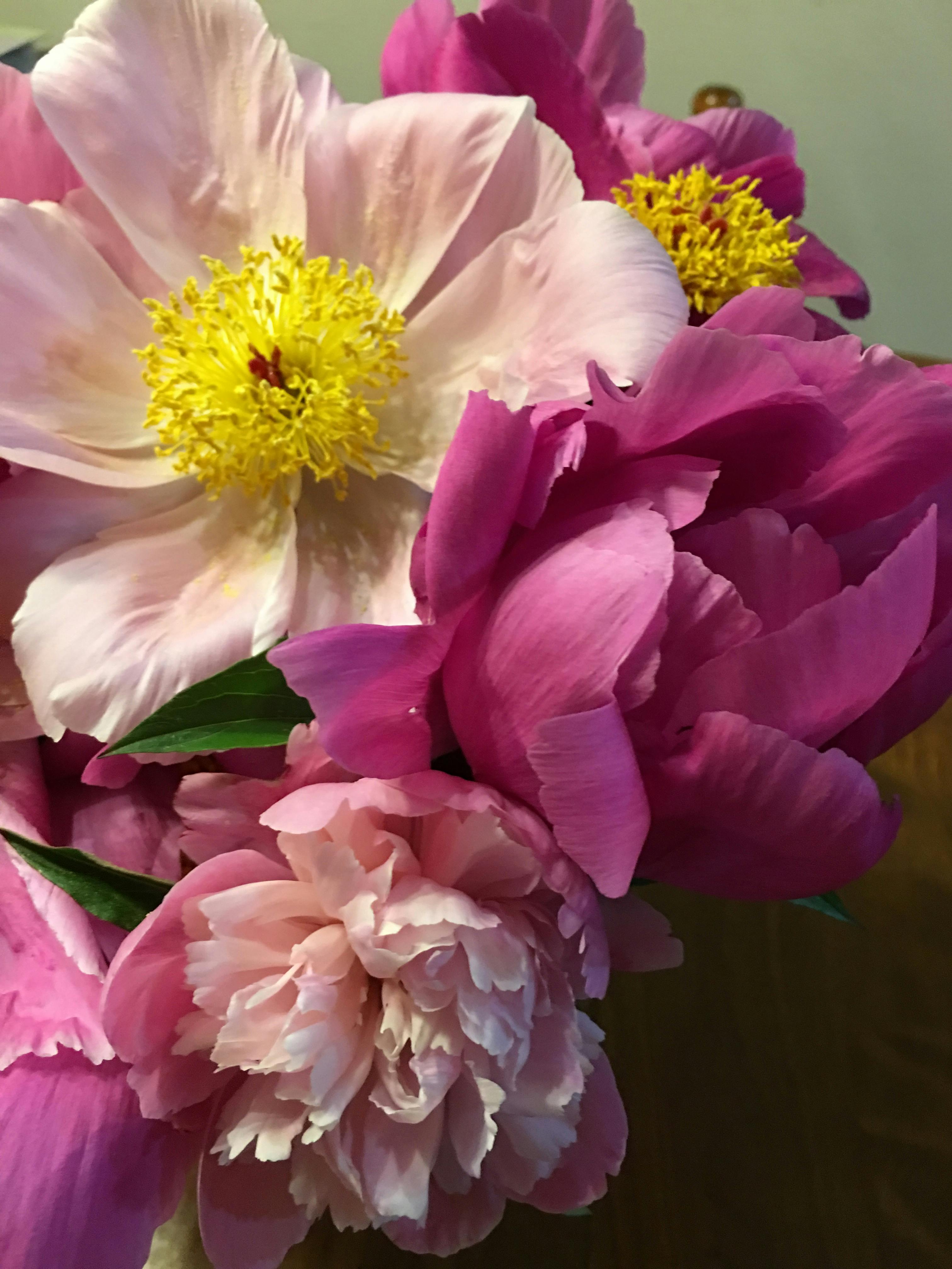 Pueblo Attractions 3 Photos & Videos Collected by Pueblo West Directory