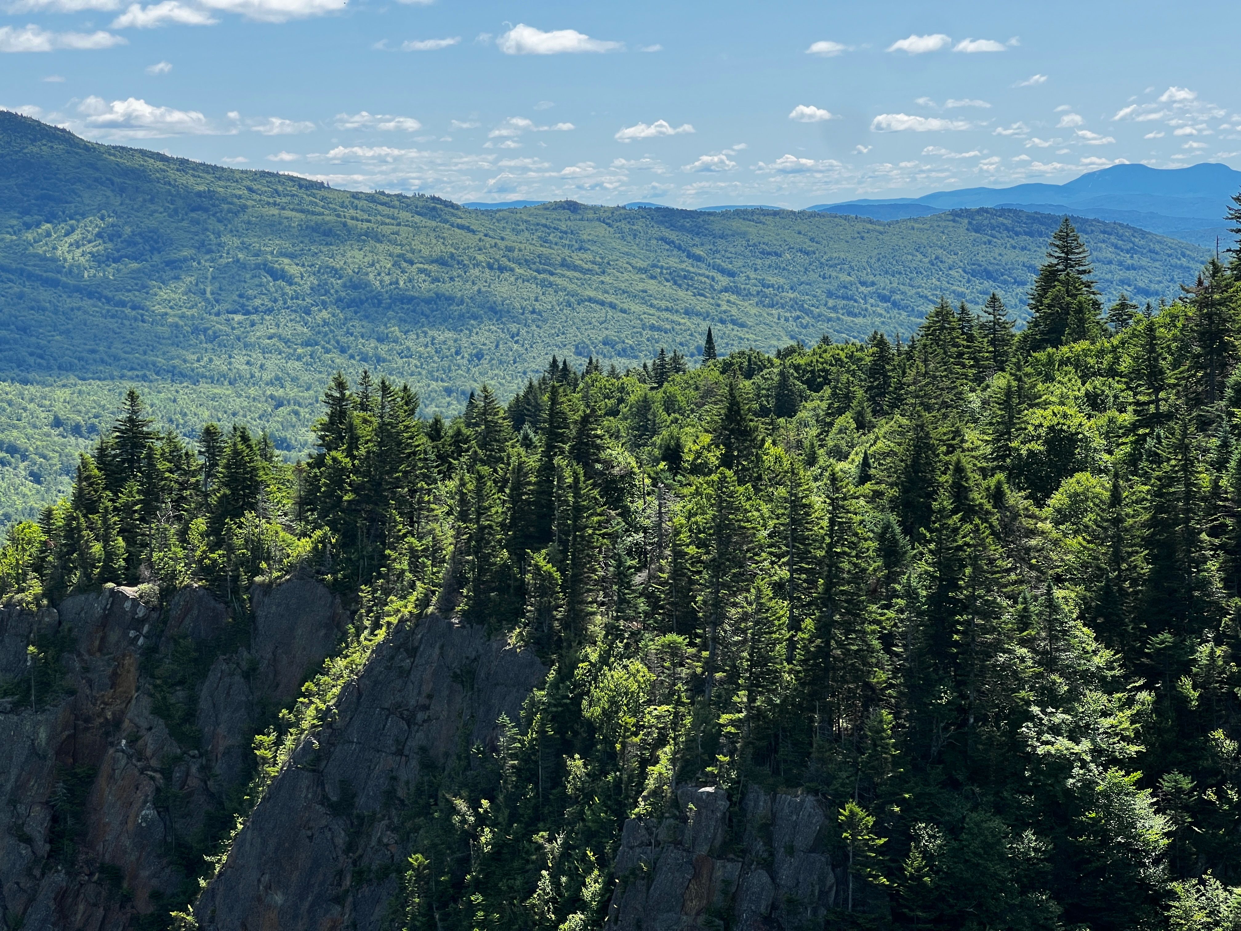 Stunning view of lush green mountains and trees in New Hampshire on a sunny day.