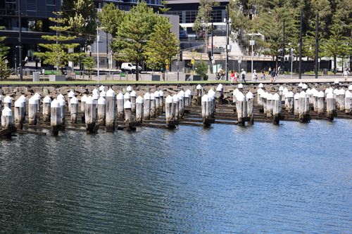 Free An urban waterfront scene with wooden pilings and people walking nearby. Stock Photo