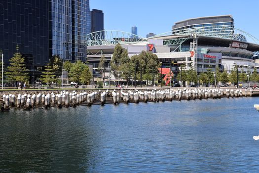 Melbourne, Australia photo 2