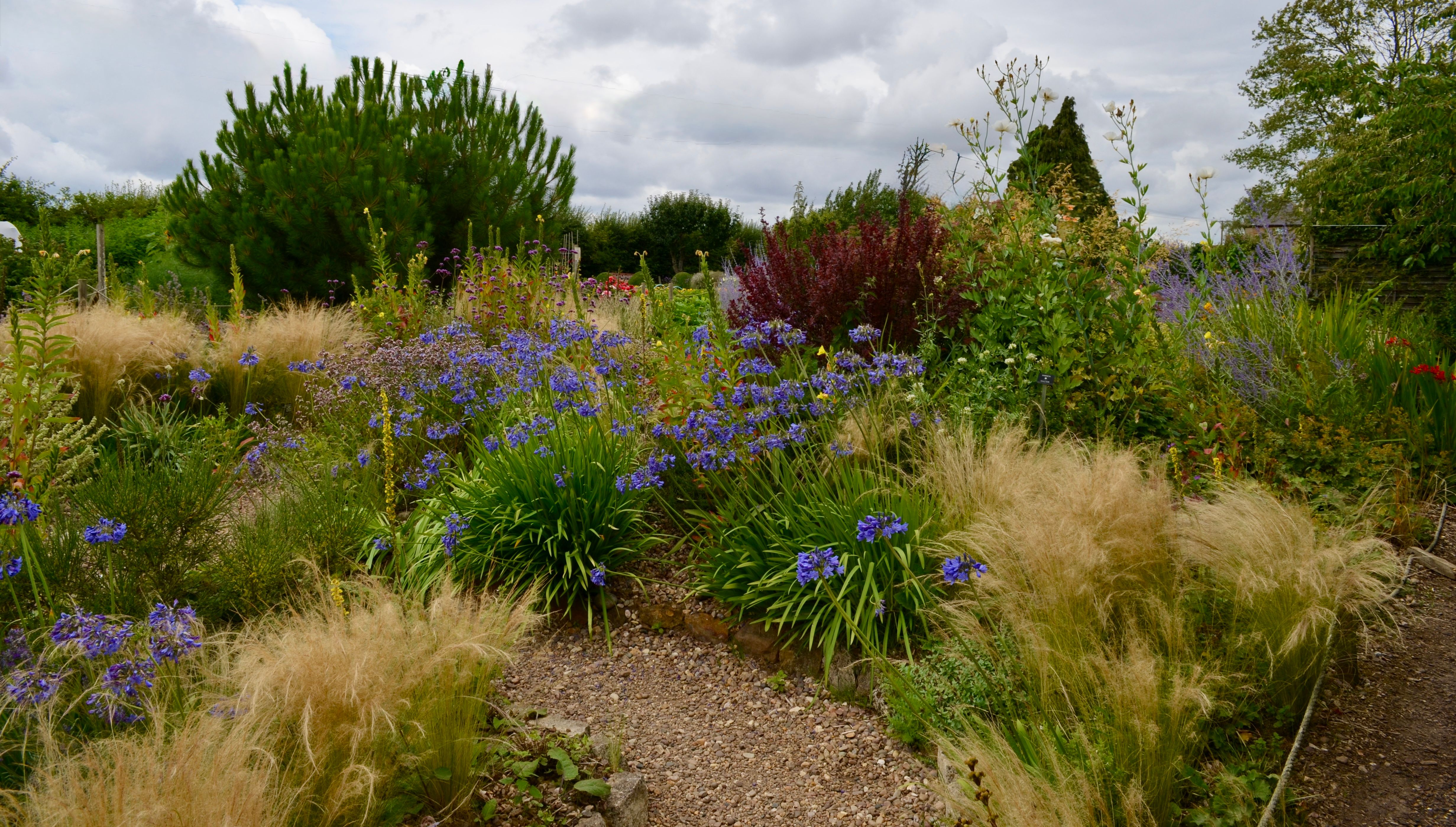 Contemporary Prairie-Style Landscape