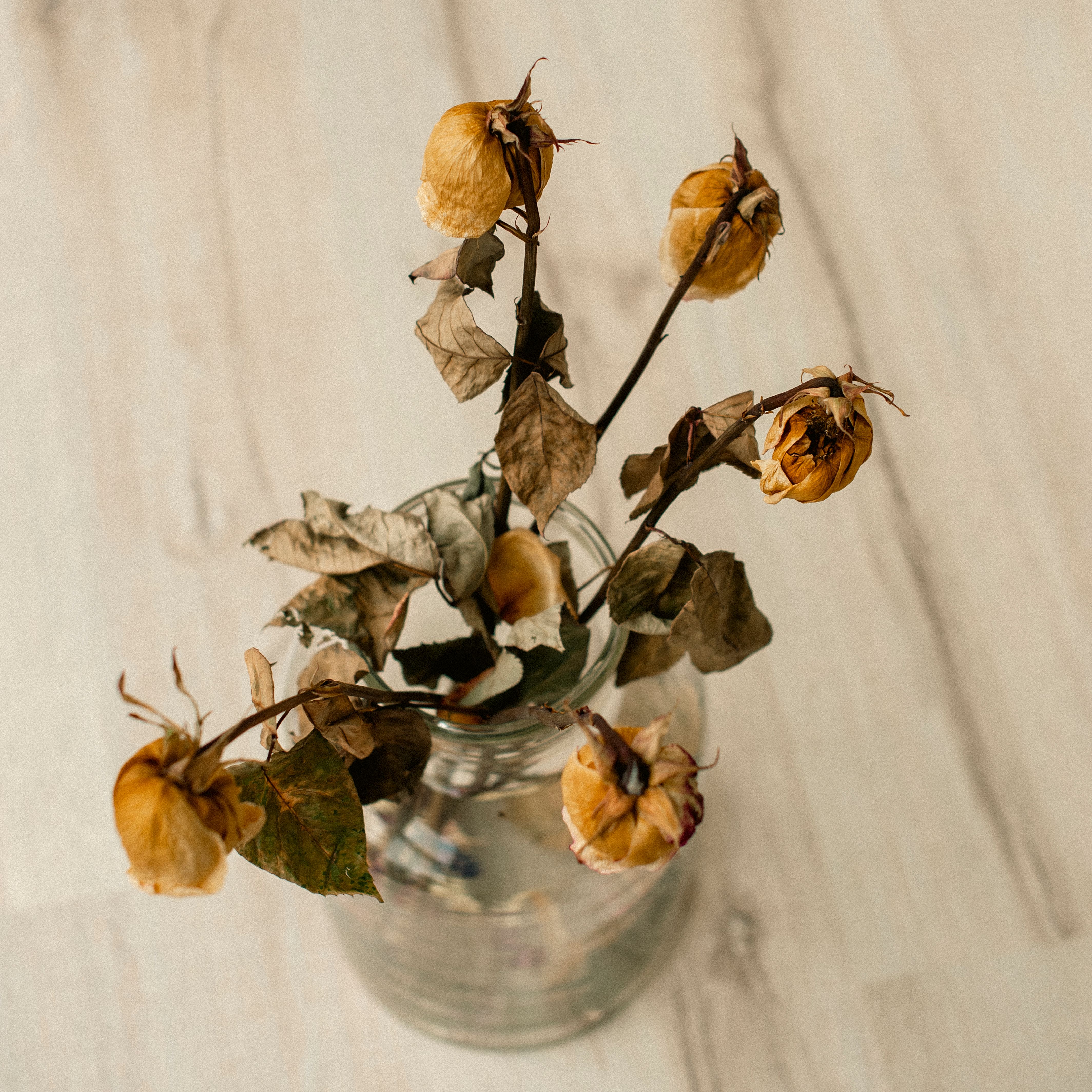 Dried roses in a glass jar — Alexander Zvir on Pexels