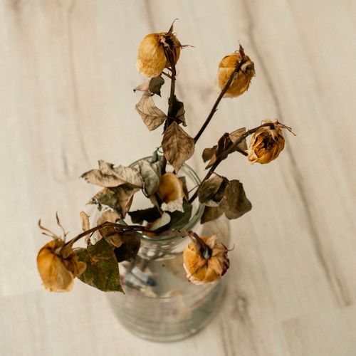 Dried roses in a small glass jar — photo by Alexander Zvir on Pexels