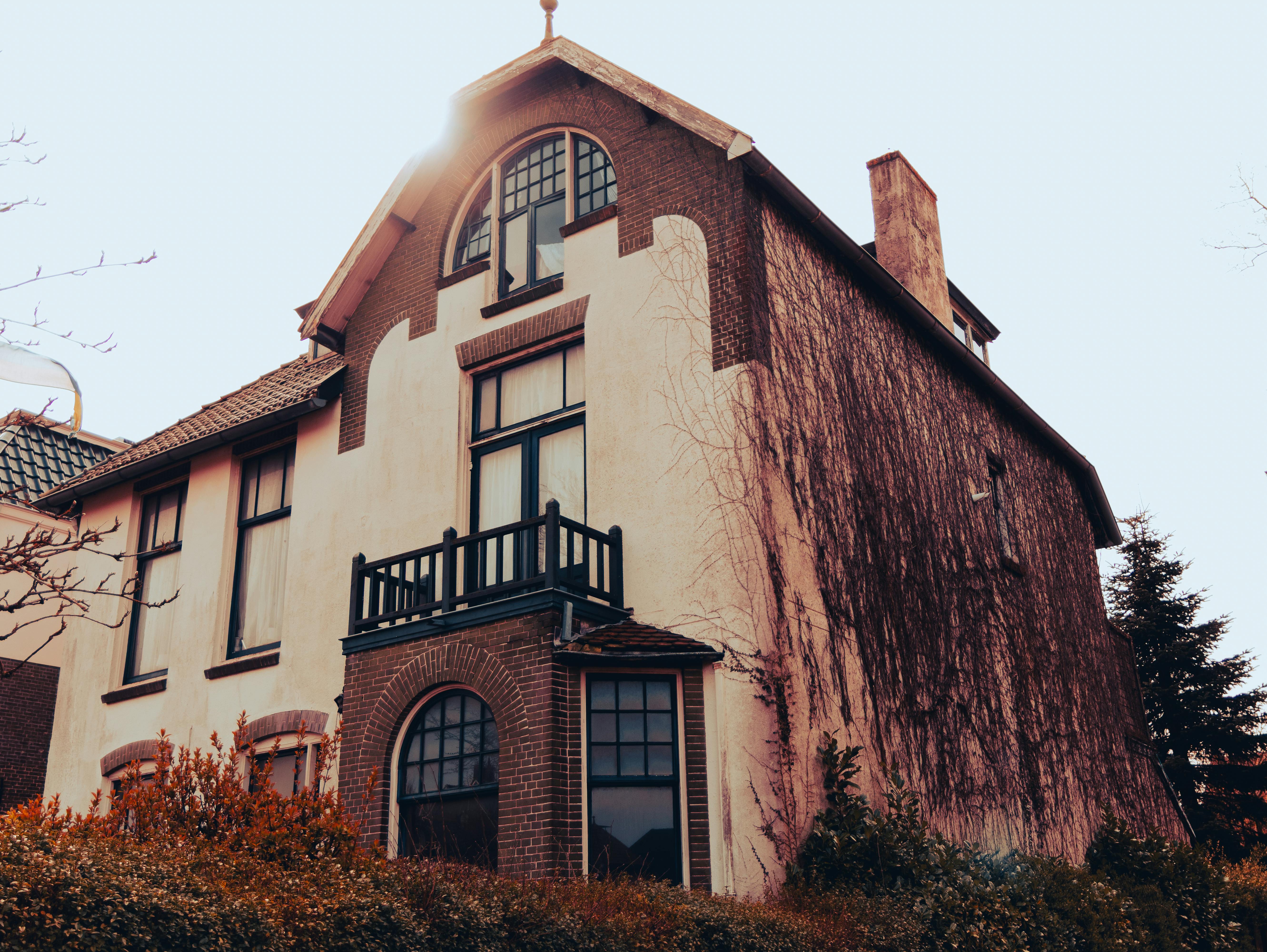 The Energy Vampires Haunting Your Home — Photo by Vladislovas Sketerskis on Pexels