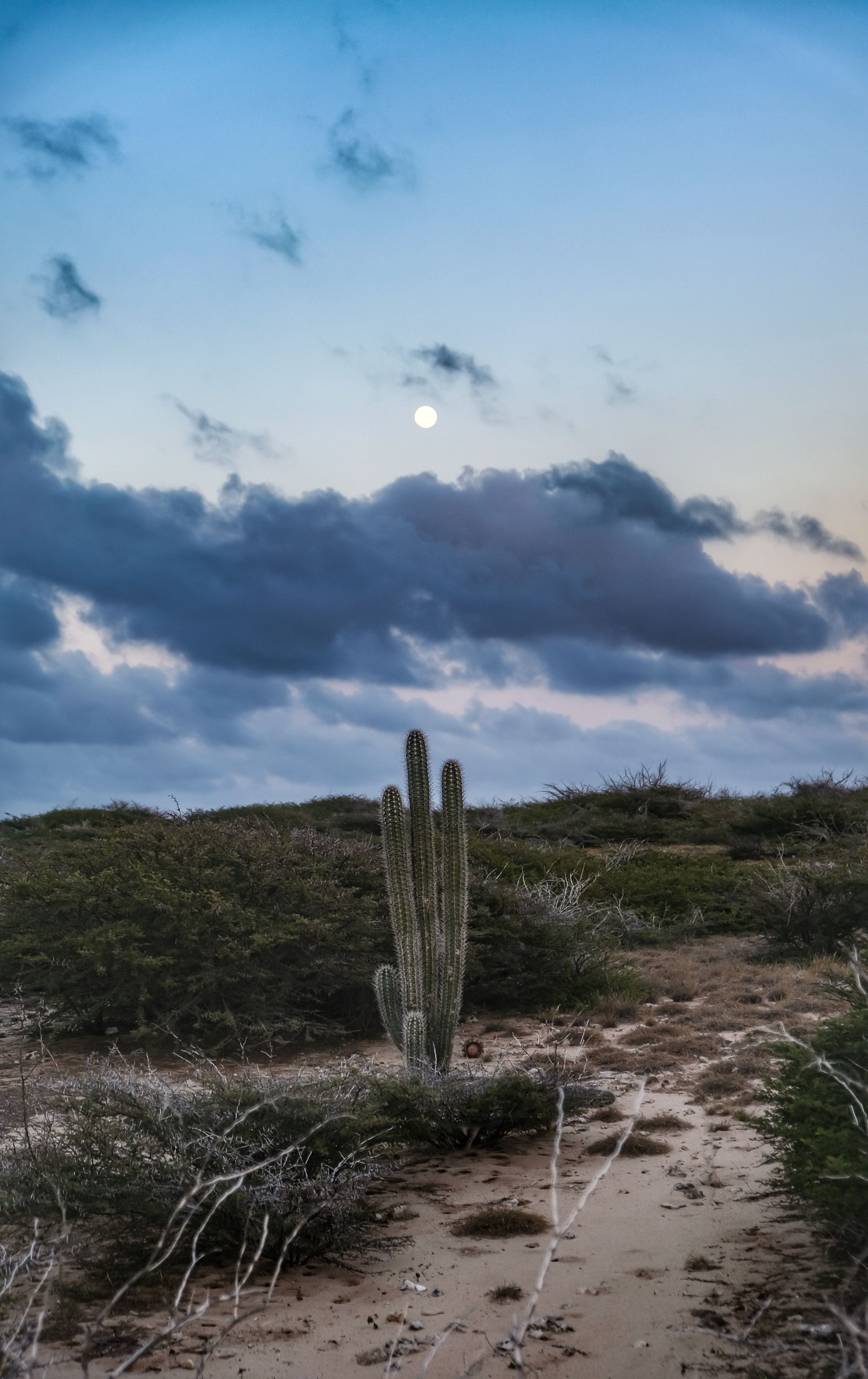 unique things to do in aruba