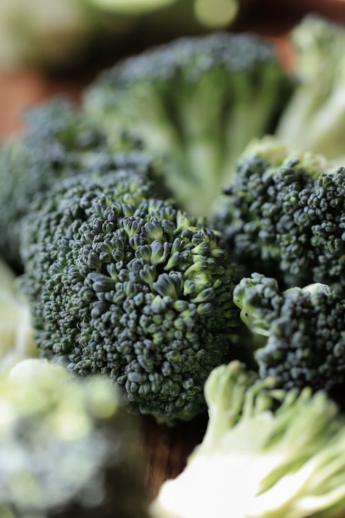 Free Detailed close-up of fresh broccoli florets, showcasing vibrant green colors for healthy eating inspiration. Stock Photo