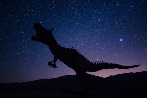 Silhouette Of Dinosaur on Night Sky