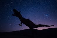 Silhouette Of Dinosaur on Night Sky