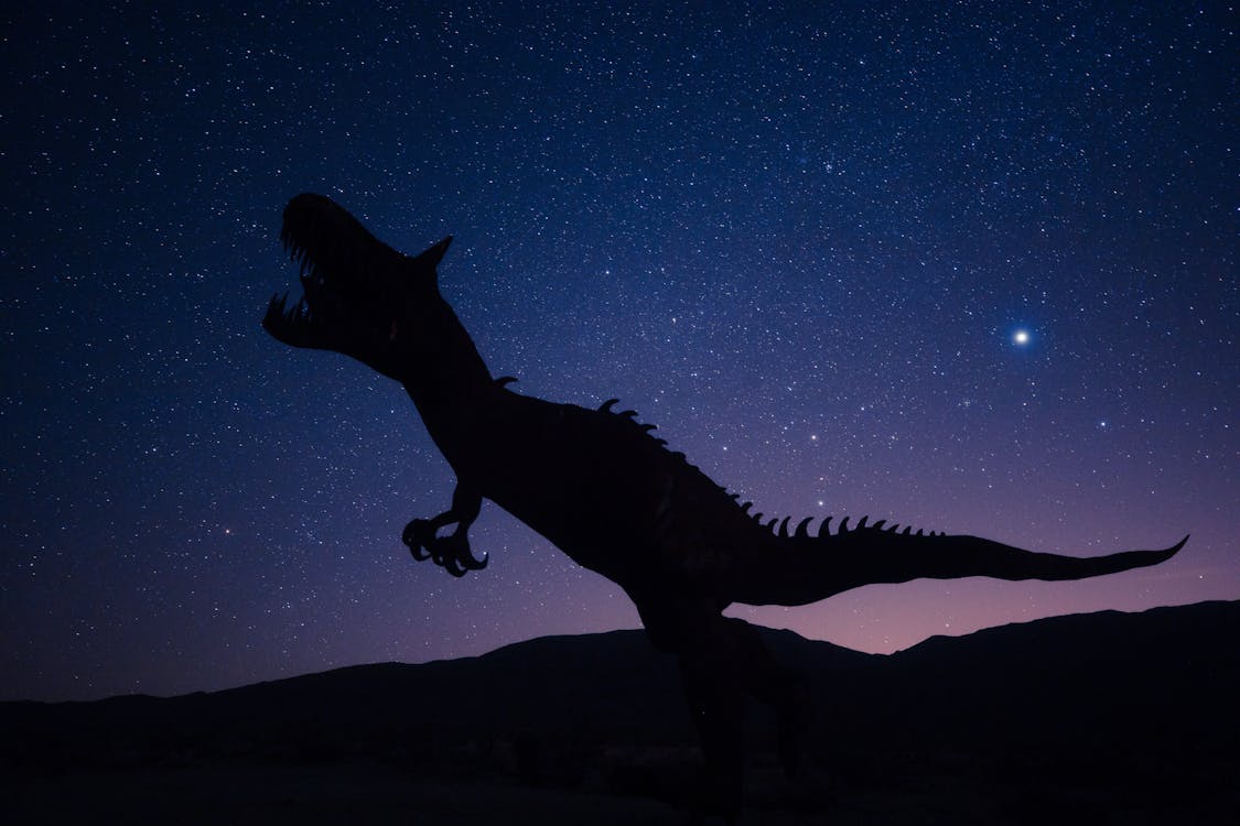 Free Silhouette Of Dinosaur on Night Sky Stock Photo