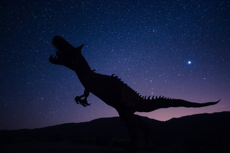 Silhouette Of Dinosaur On Night Sky