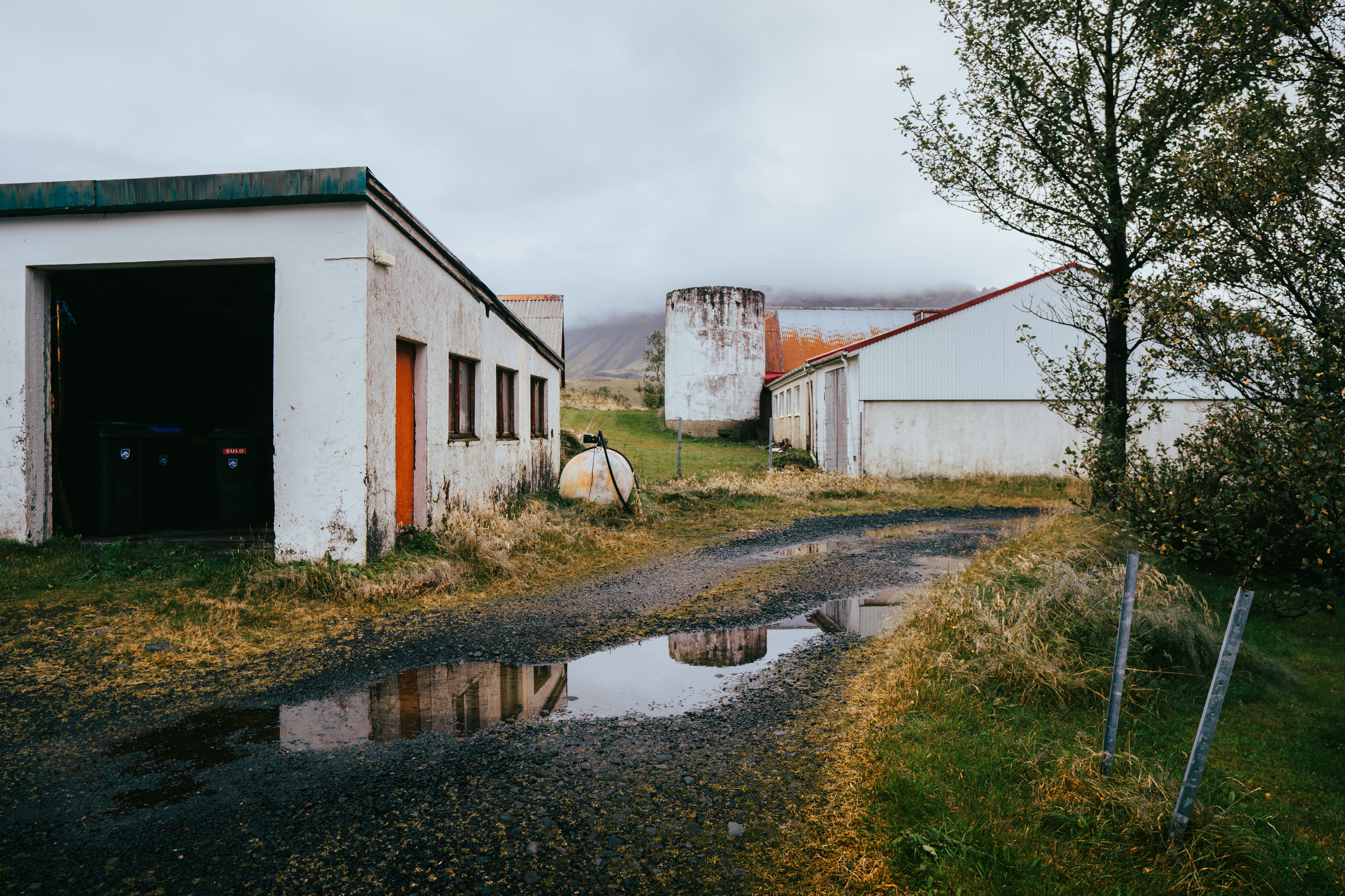 Best Tour Companies in Iceland — Photo by Artūras Kokorevas on Pexels