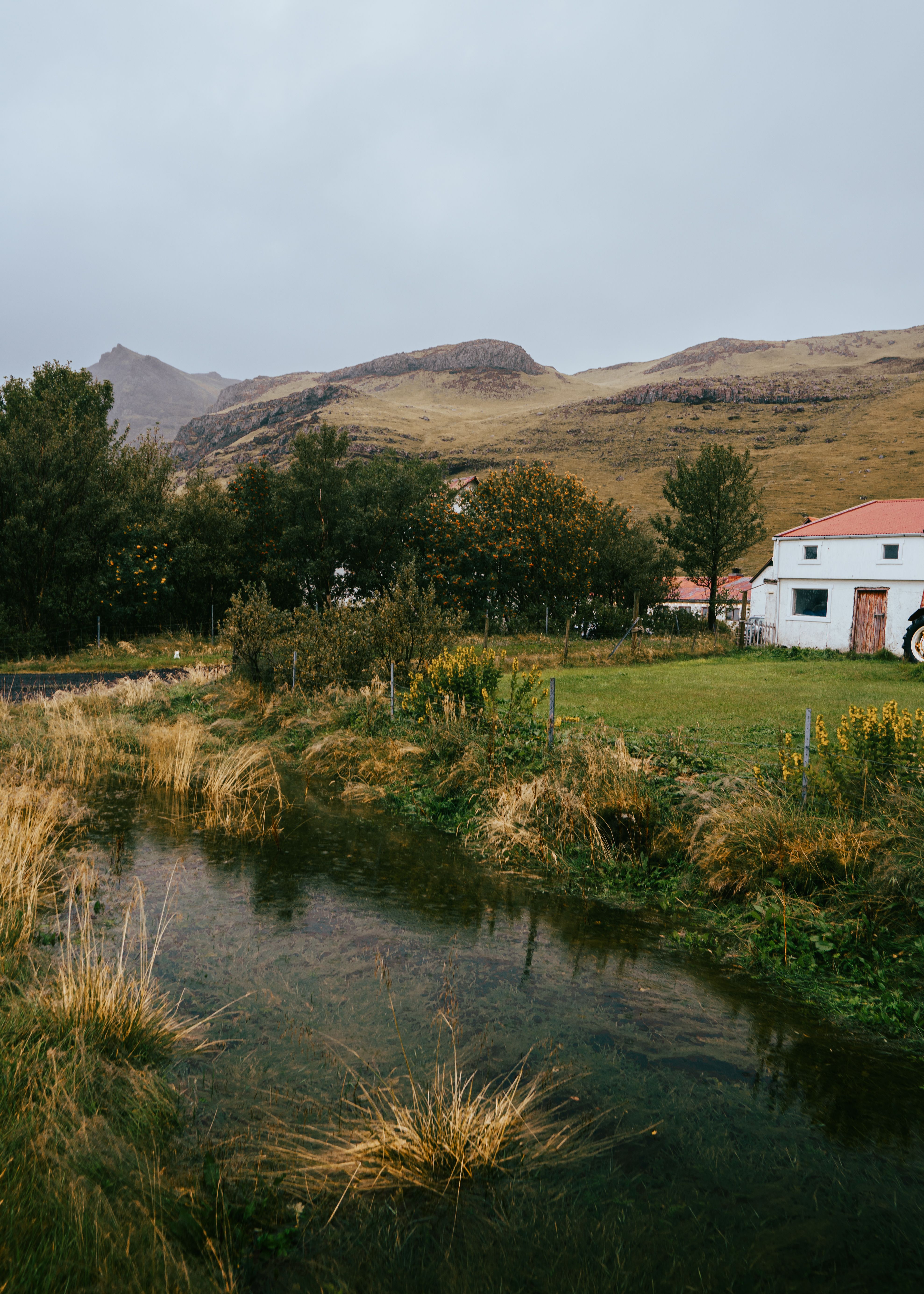 Scenic view of a peaceful Icelandic countryside with grassland and mountains.