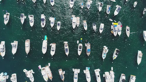 Boats on Water From Above