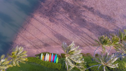 Бесплатное стоковое фото с ветреный, доски для серфинга, море