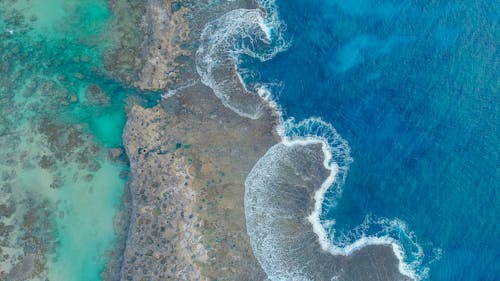 海の鳥瞰図