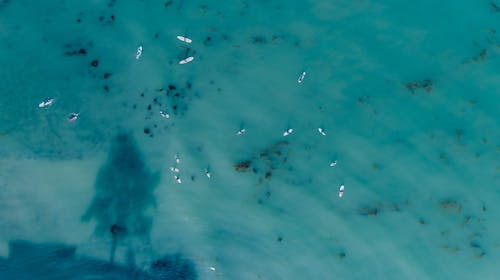 Free Aerial View on Surfboards in the Sea Stock Photo