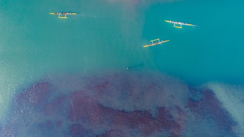 Free Bird's Eye View Of Canoes On Ocean Stock Photo