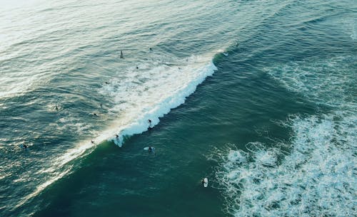 People Surfing on Sea