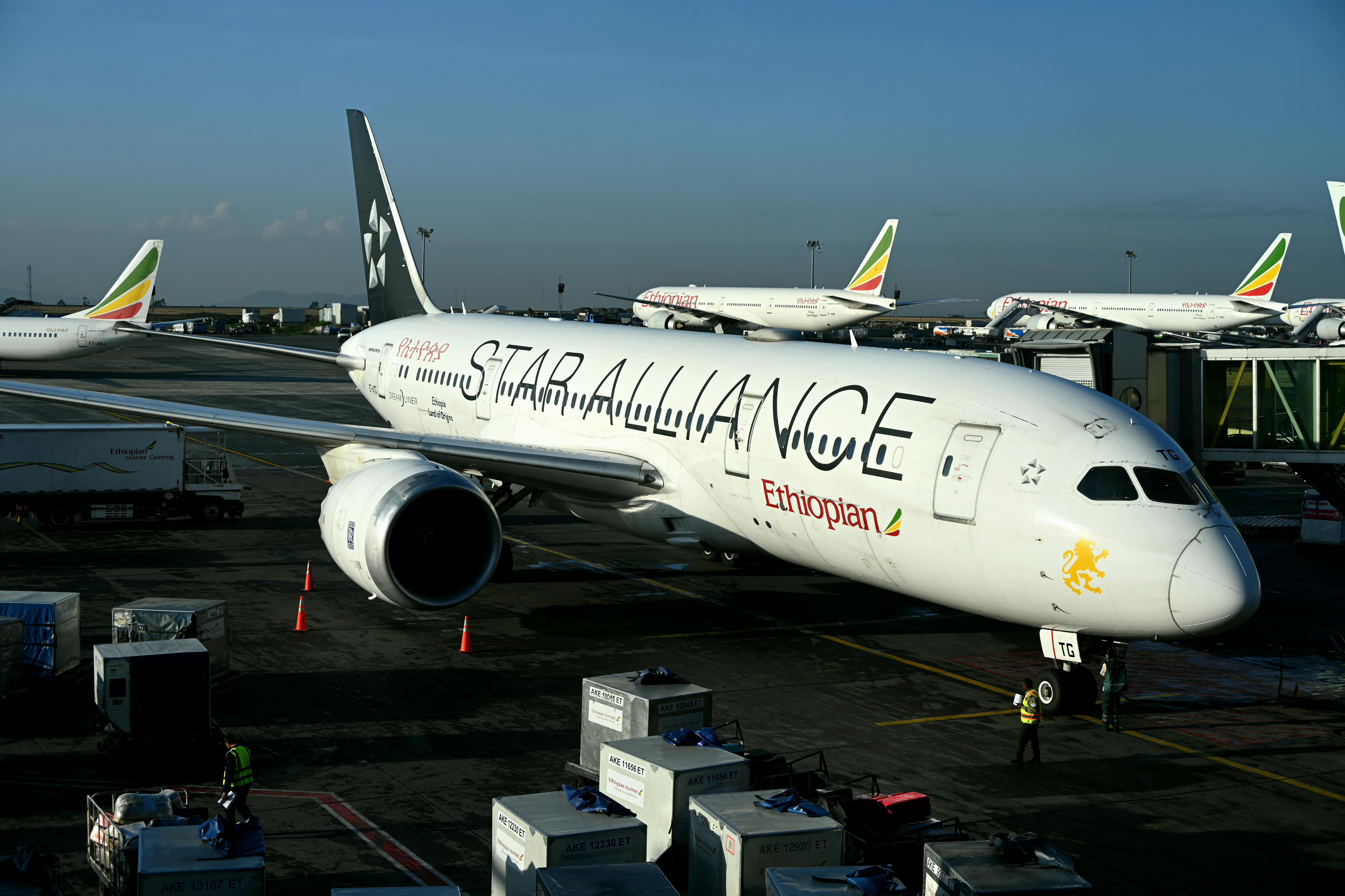airline alliances global network - Travel And Tour World — Photo by Planespotter Geneva on Pexels