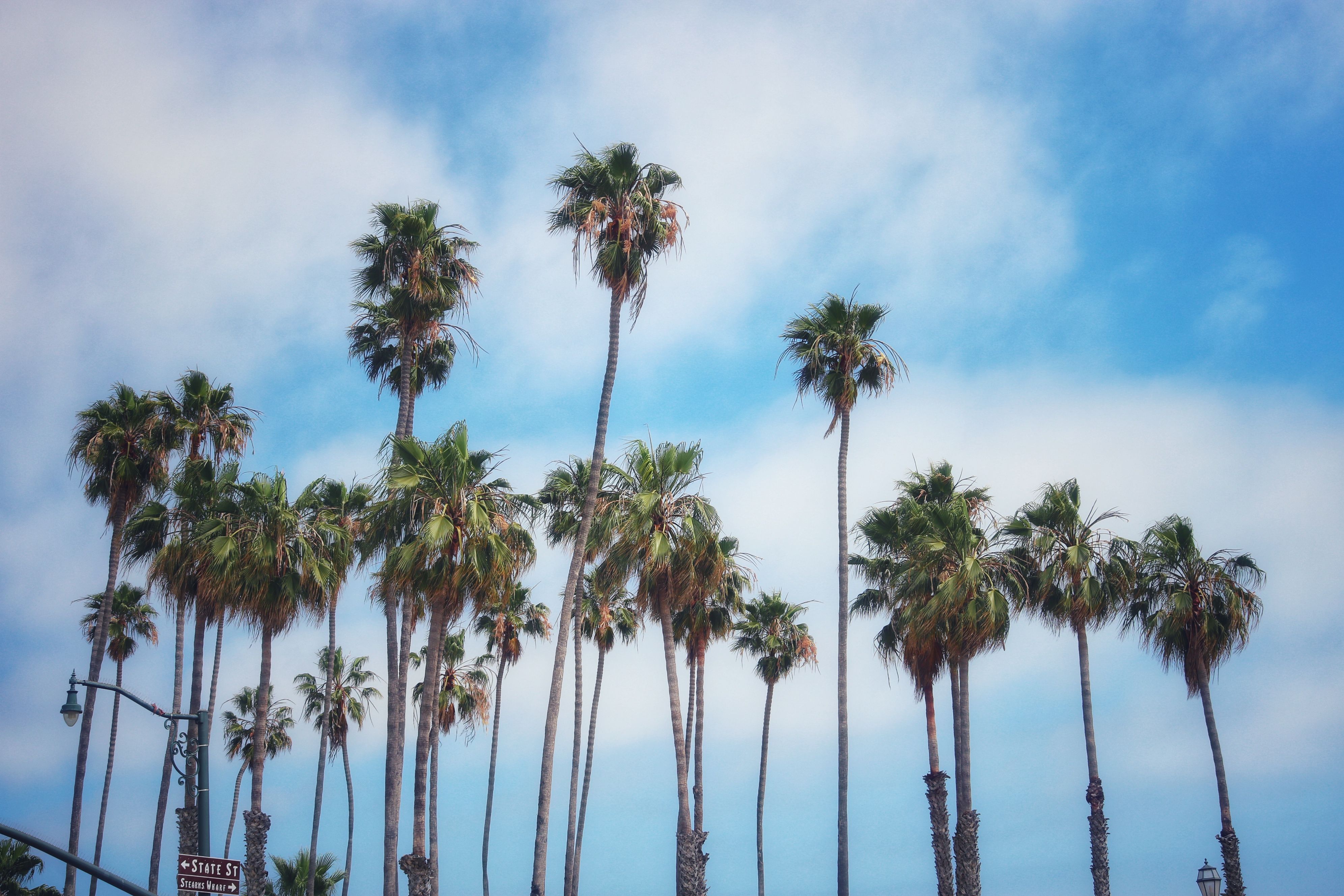 Santa Ana, CA Family Giveaways Near Me: Where to Find Legit Deals
