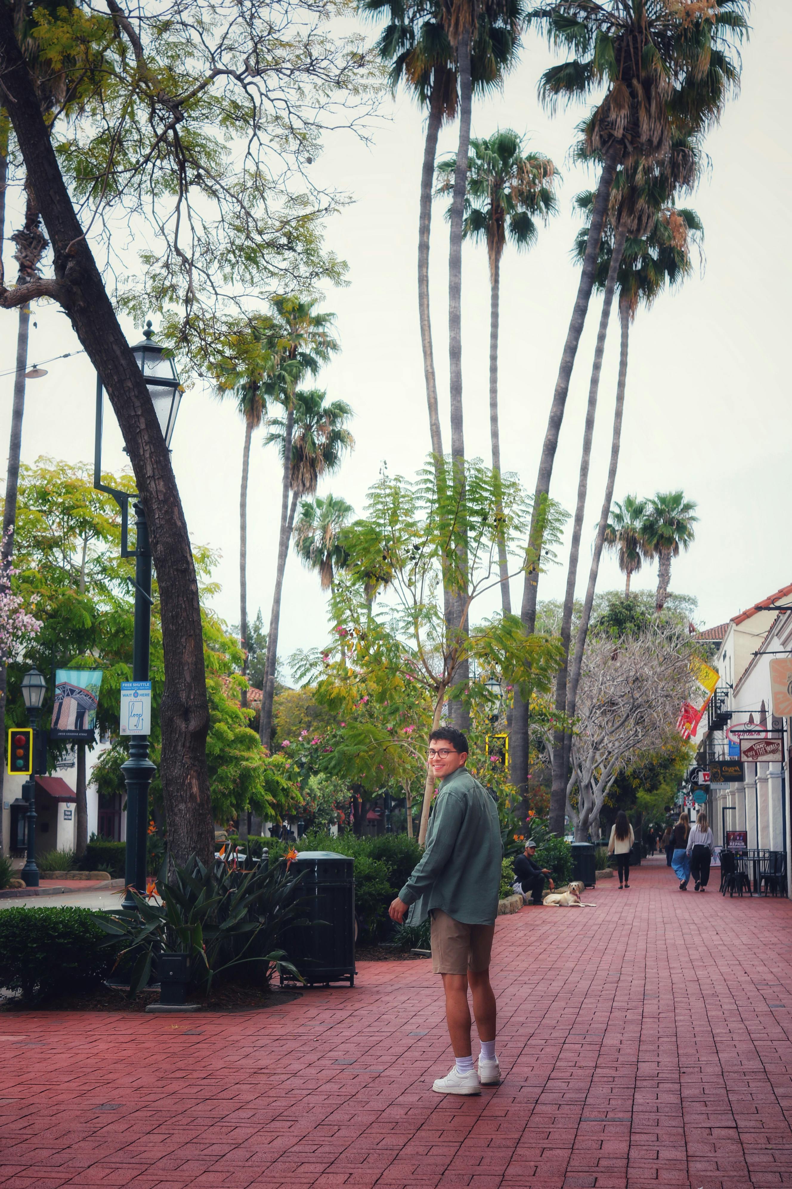 A young adult walking on a palm-lined street in Santa Bárbara, California, USA.