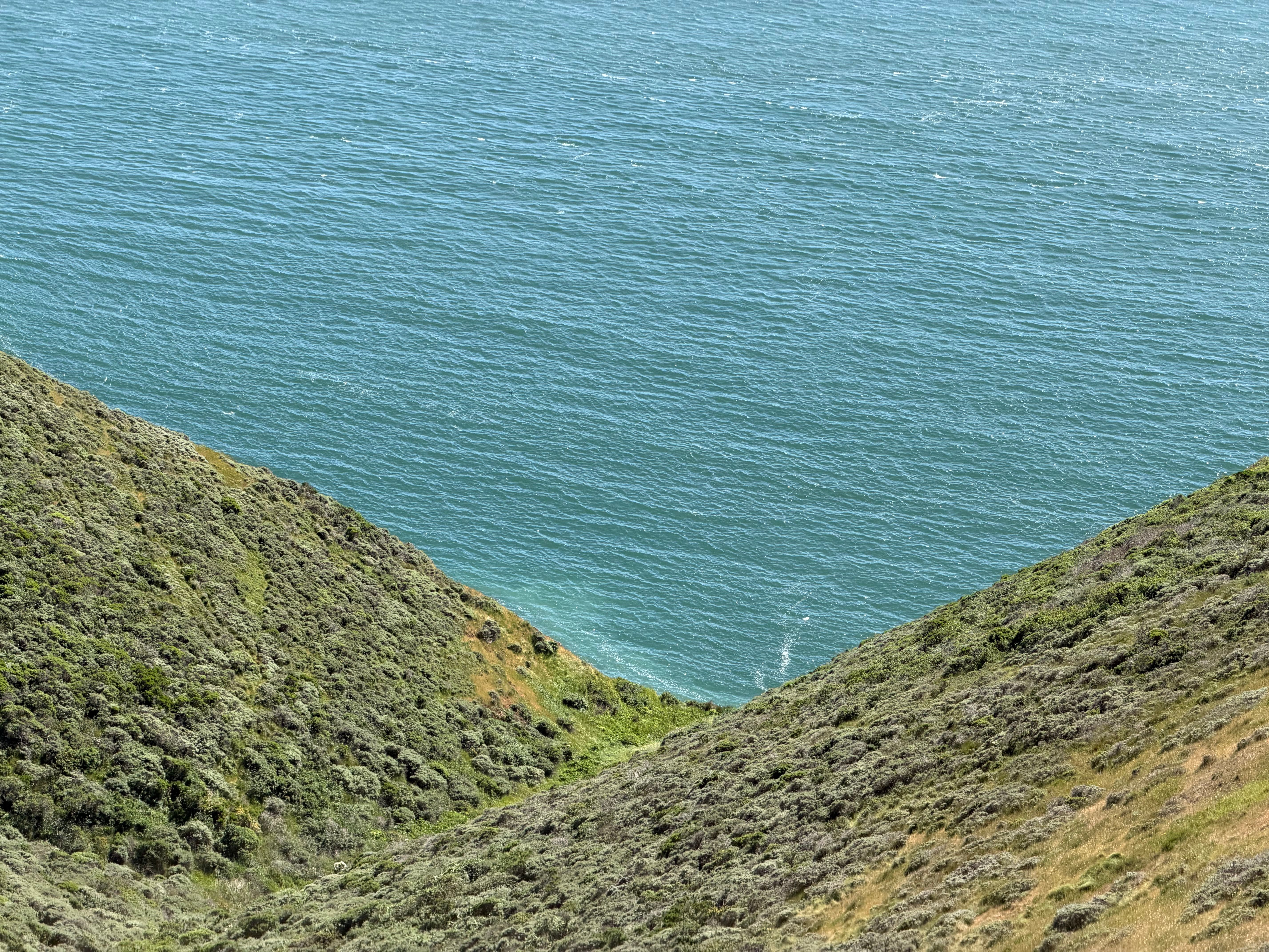 A More Troubling Picture of Sea Level Rise Is Coming into View — Photo by Dani  Mota on Pexels
