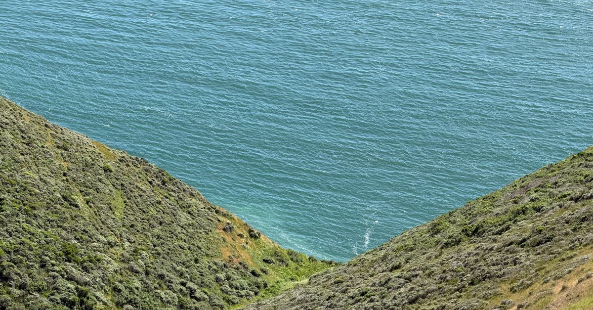 A More Troubling Picture of Sea Level Rise Is Coming into View — Photo by Dani Mota on Pexels
