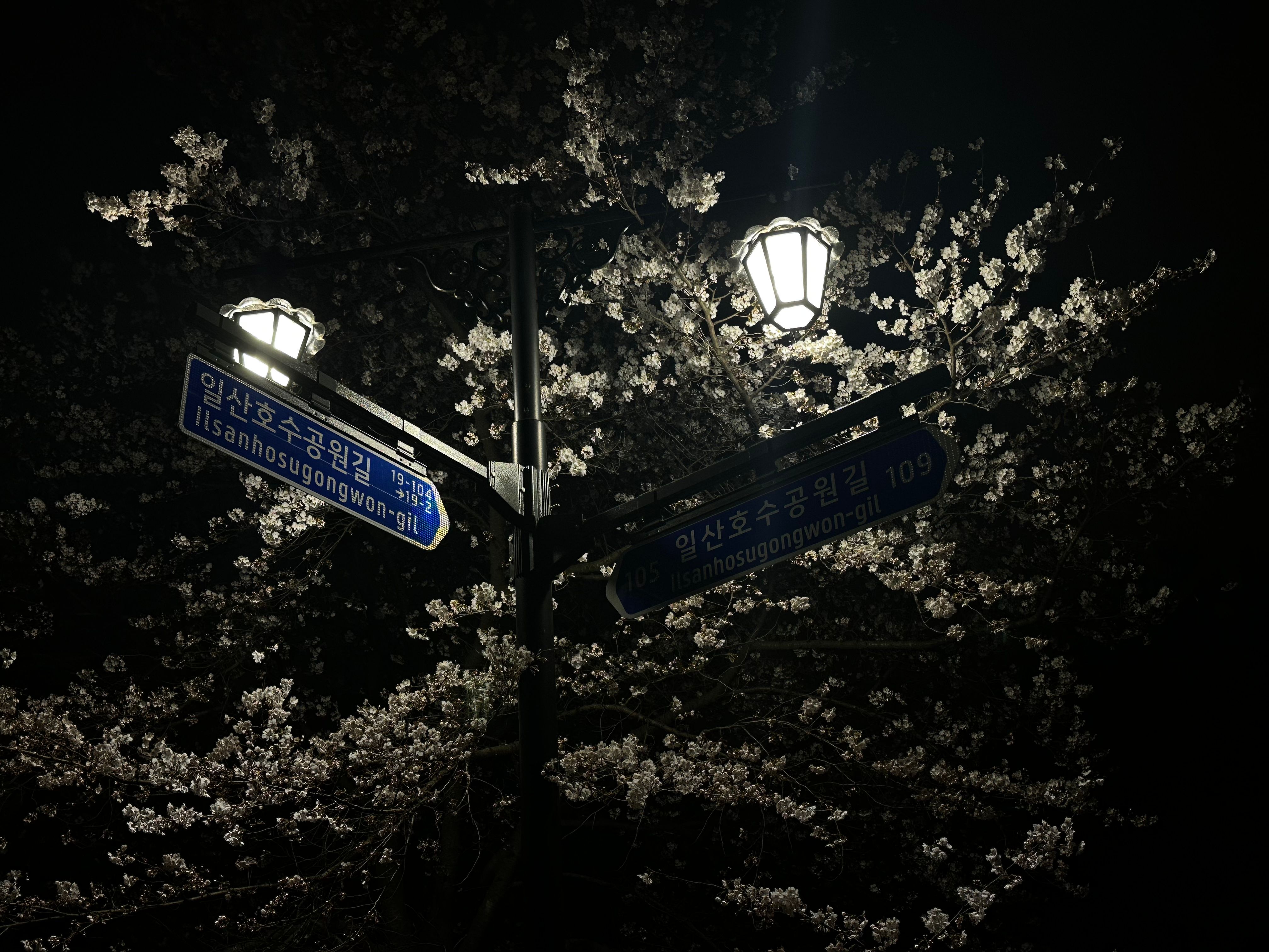 밤알바