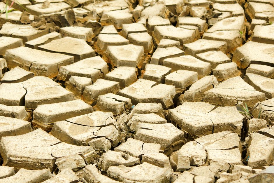 Severe Drought Fuels Intense Wildfires Across Southeastern United States