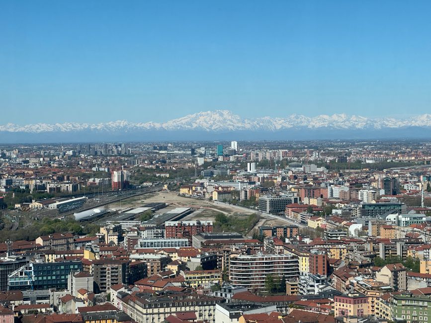 Torino: 150 esperienze analizzate, rating medio 4.63