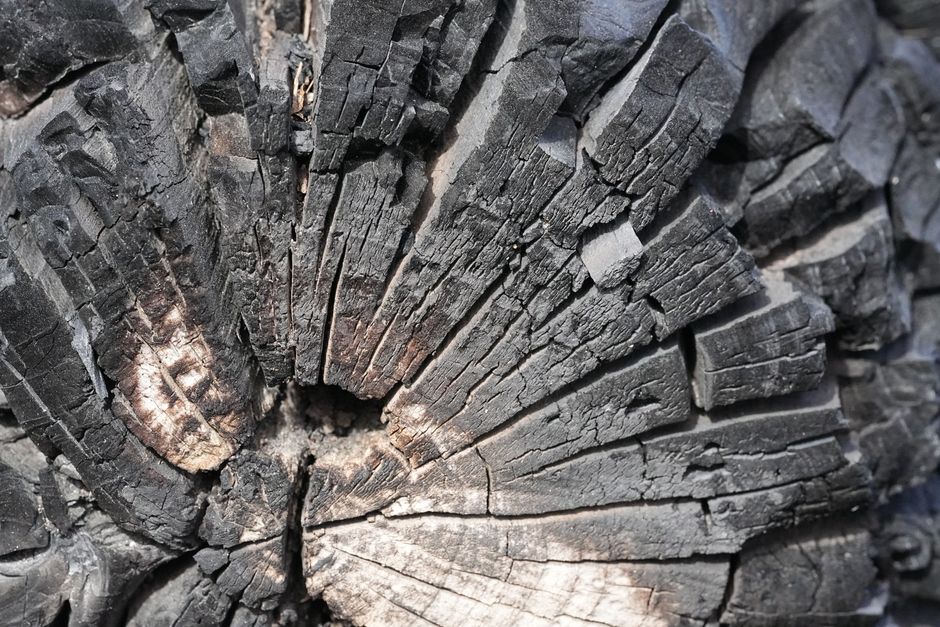 Detailed view of a charred wood log with visible cracks and textures, created naturally by fire.