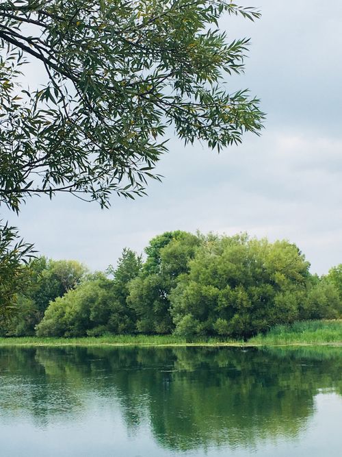 Free Peaceful river scene featuring lush trees and tranquil water reflections. Stock Photo