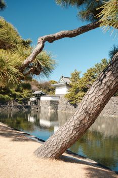 A picturesque Japanese garden featuring serene water and traditional architecture.