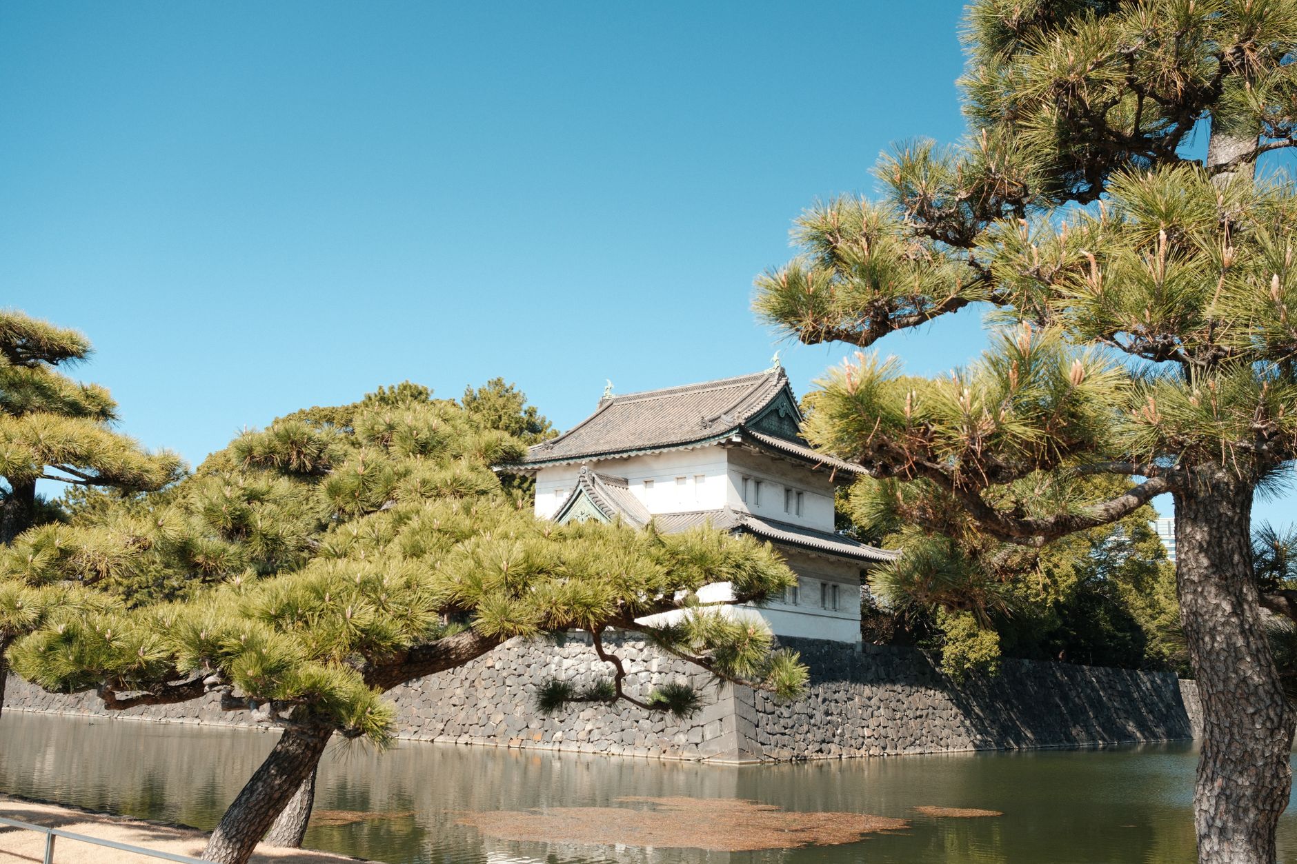 Schloss & Natur im Anime-Look – Digitales Kunstwerk