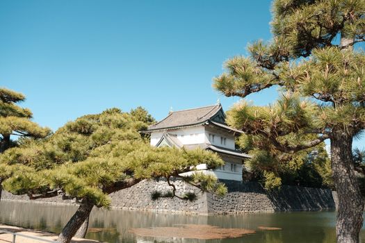 Schloss & Natur im Anime-Look – Digitales Kunstwerk