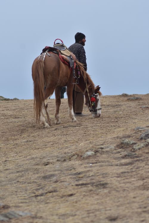 Free An adult man with a saddled horse standing on a dry, barren terrain. Stock Photo