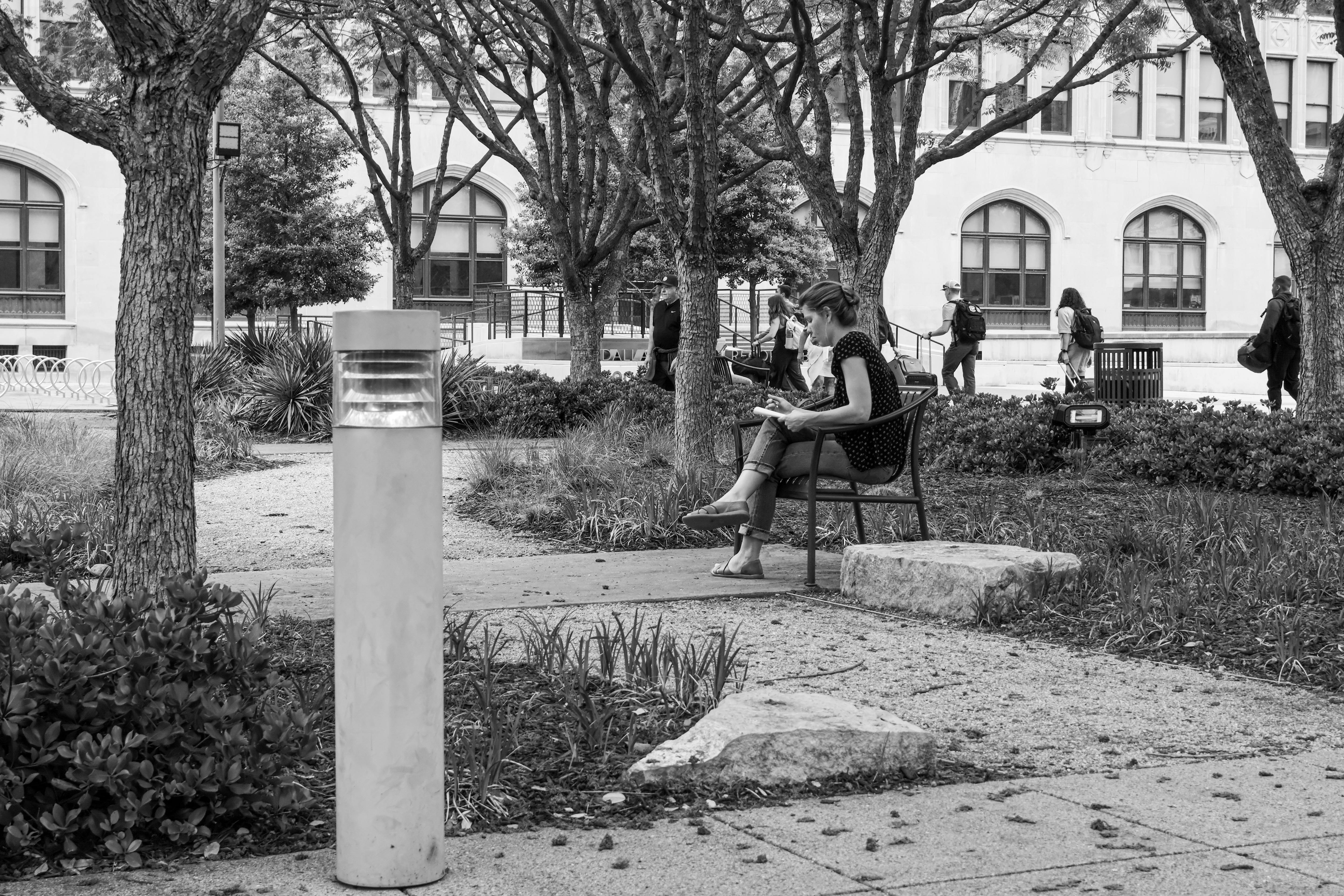 Rogers State University to offer new secondary education degree program — Photo by Gavin Young on Pexels
