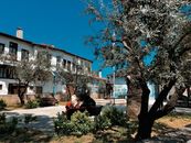 Peaceful village square with benches, olive trees, and historical buildings under clear blue sky.