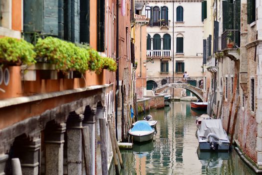 Cicchetti (Venetian tapas) crawl — Venice
