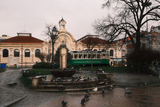 Vintage tram and pigeons near Central Market Hall in Sofia, Bulgaria.