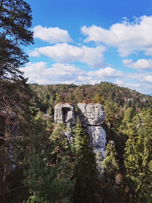 Free Stunning pine forest view with unique rock formations under a beautiful blue sky. Stock Photo