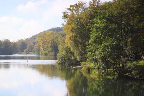 Free Tranquil river scene with lush trees reflecting in calm water, perfect for nature enthusiasts. Stock Photo