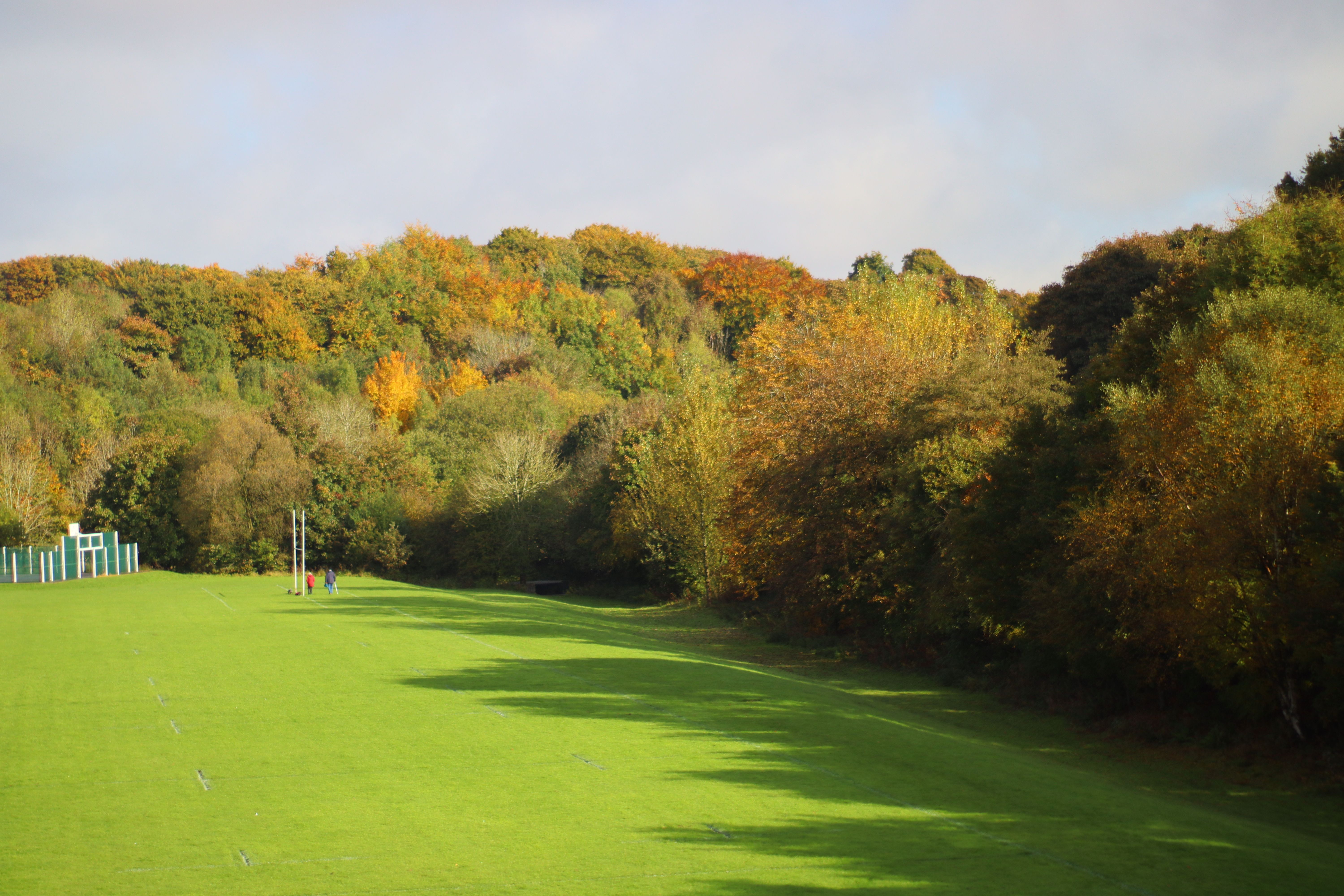 Vibrant autumn foliage in an English park with grassy fields and colorful trees.