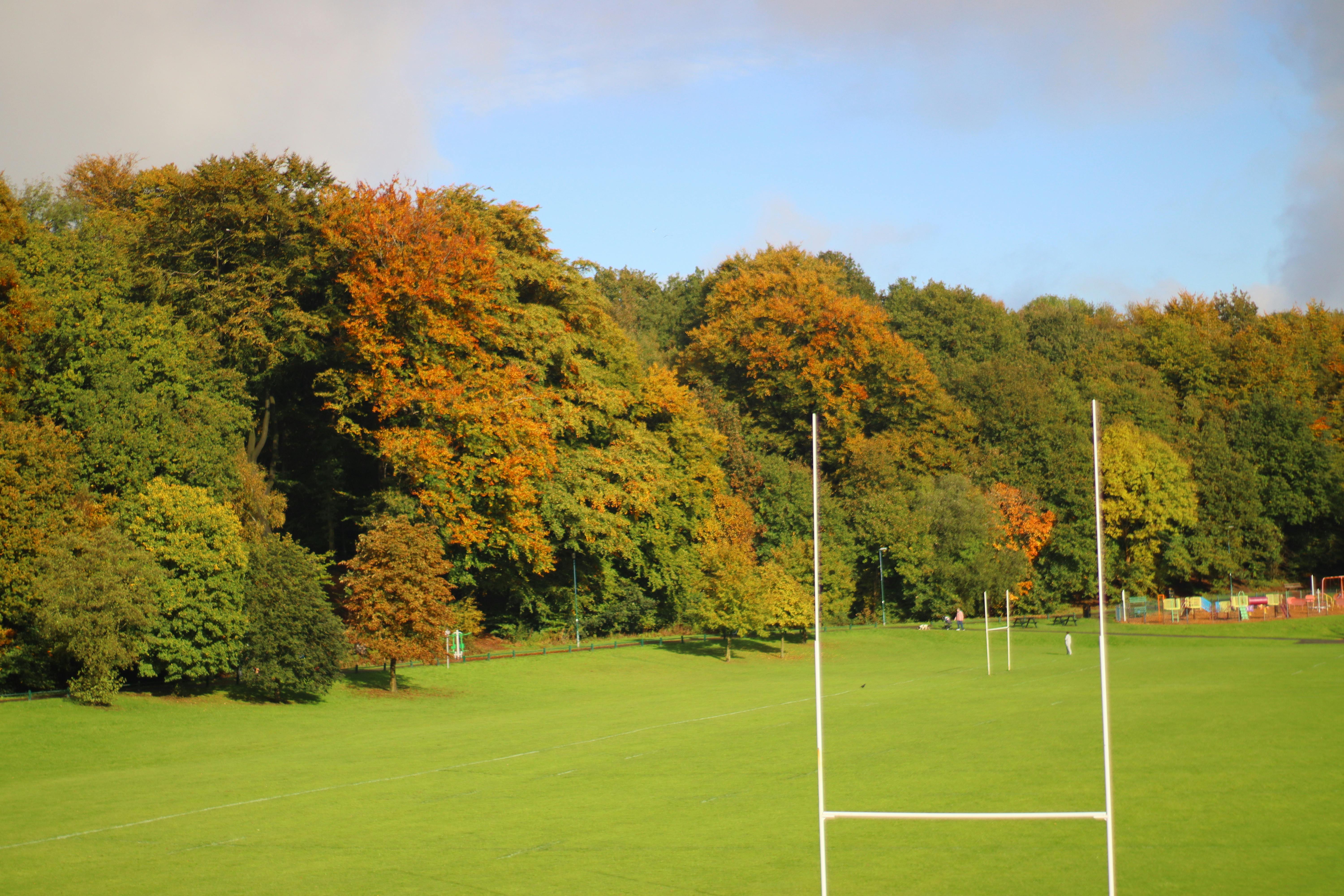 Vibrant autumn foliage surrounds a rugby field in England.