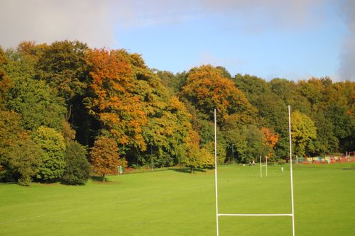 Free Vibrant autumn foliage surrounds a rugby field in England. Stock Photo