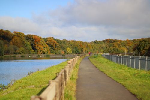 Free A peaceful autumn scene with a path by a lake surrounded by colorful trees in England. Stock Photo