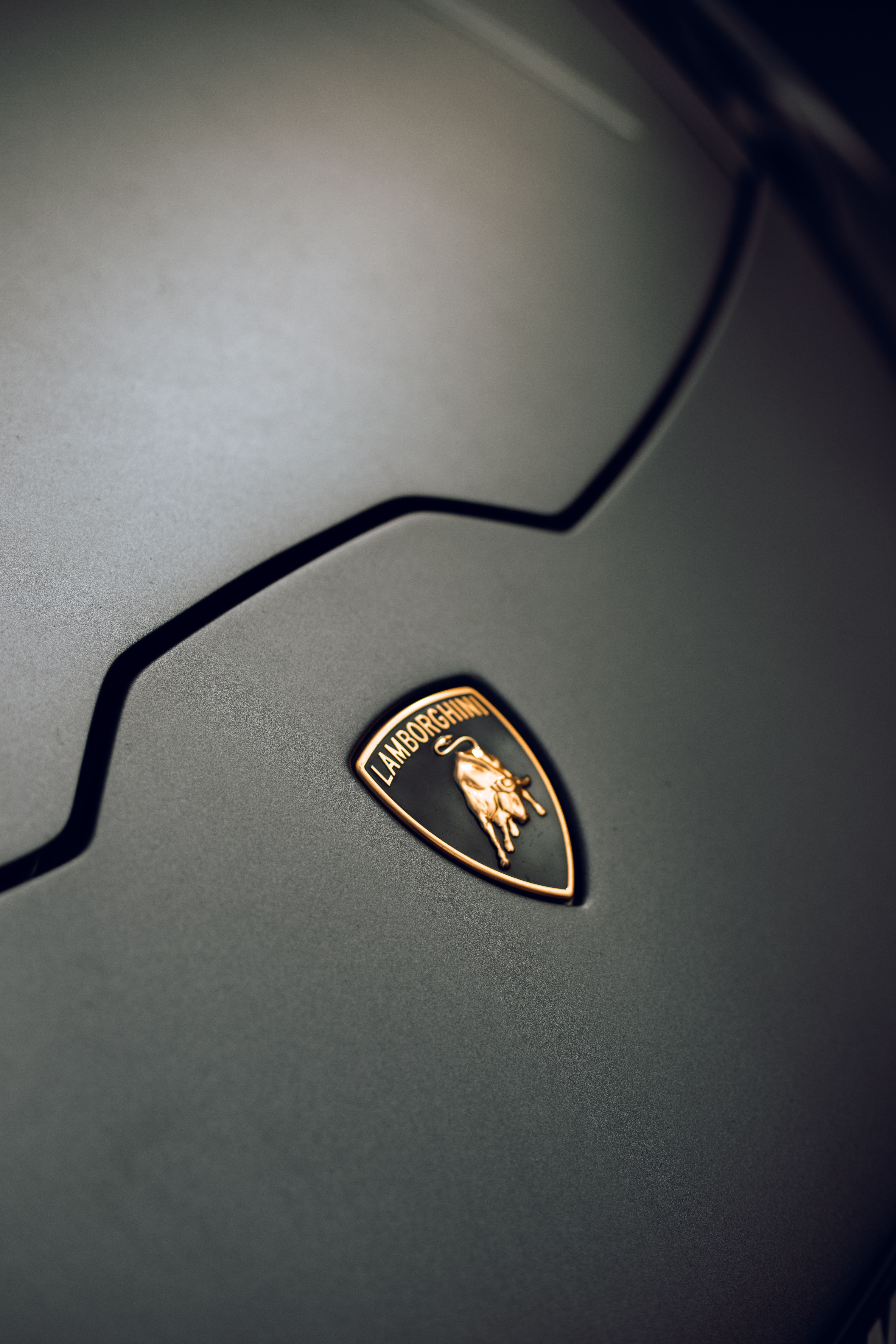 Detail of sleek luxury car hood with a focus on the emblem.